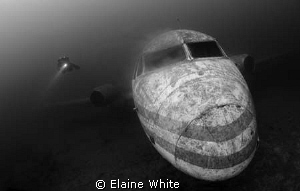 Passenger aircraft with Diver. Natural light
Capernwray by Elaine White 